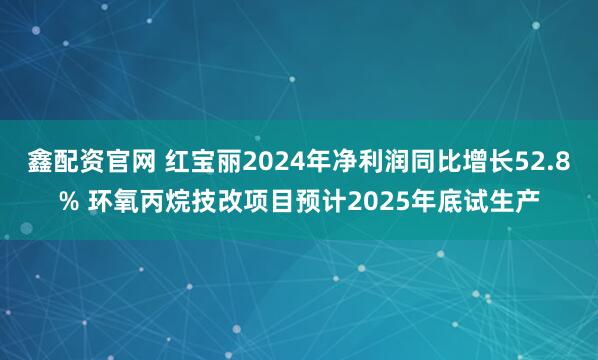 鑫配资官网 红宝丽2024年净利润同比增长52.8% 环氧丙烷技改项目预计2025年底试生产