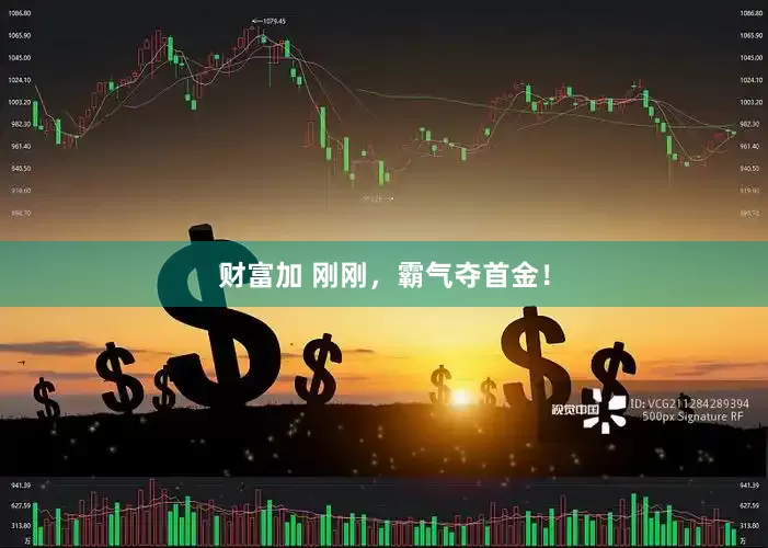 财富加 刚刚，霸气夺首金！