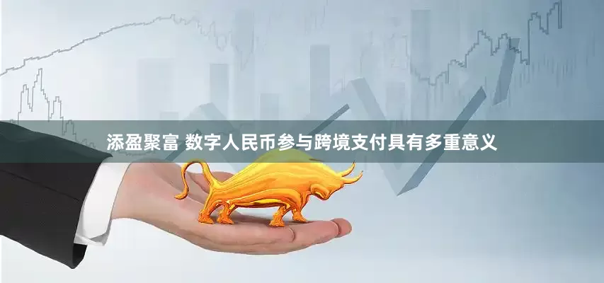添盈聚富 数字人民币参与跨境支付具有多重意义