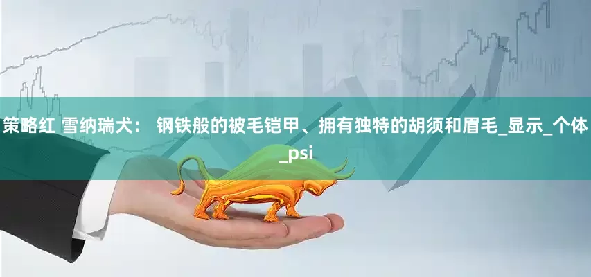策略红 雪纳瑞犬： 钢铁般的被毛铠甲、拥有独特的胡须和眉毛_显示_个体_psi